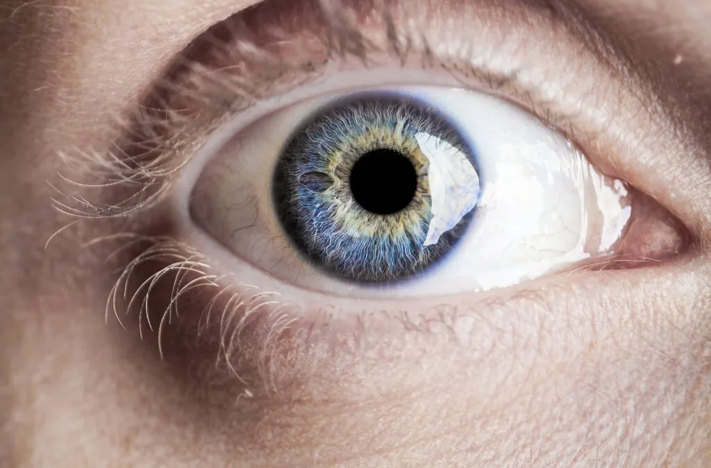 What is EMDR?